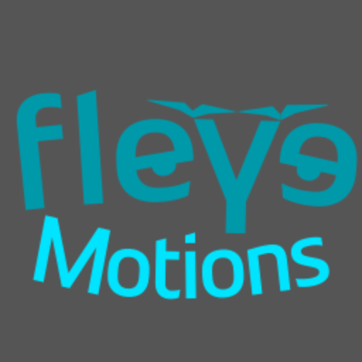 FleyeMotions – Spektakuläre Flugvideos für Ihr Anliegen