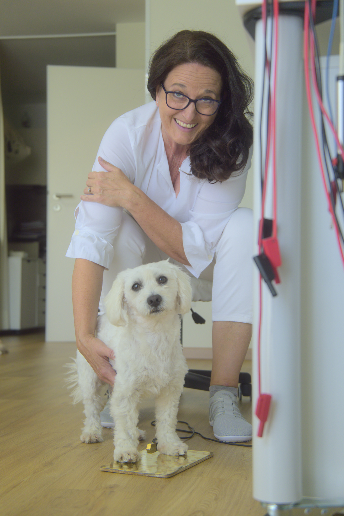 Mein attraktives Angebot mit 3 Standardpaketen für Sie in Vorarlberg und am Bodensee