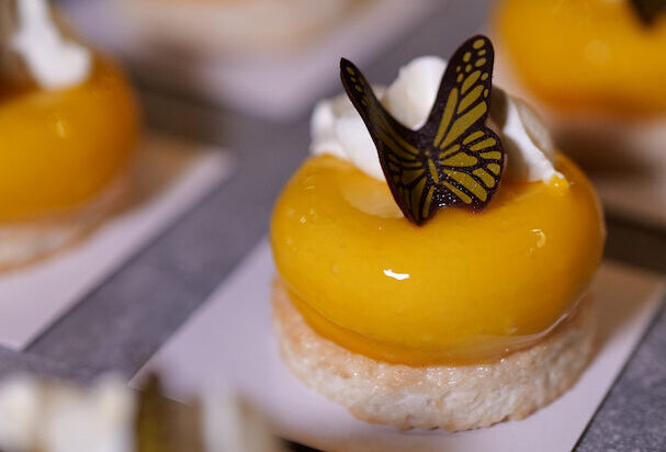 Wirkungsvolle Videos und Fotos